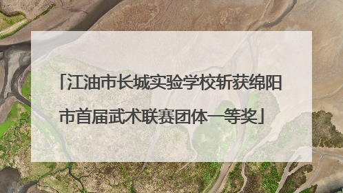 江油市长城实验学校斩获绵阳市首届武术联赛团体一等奖
