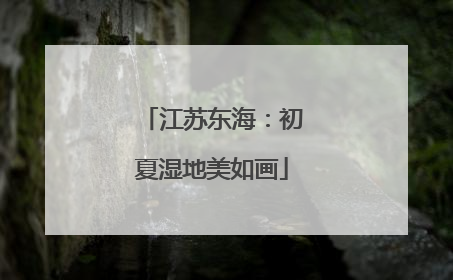 江苏东海：初夏湿地美如画