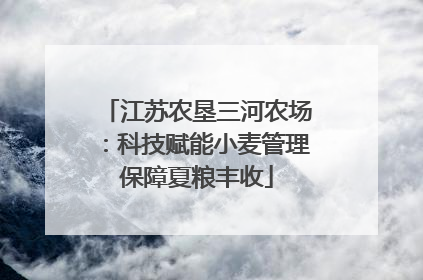江苏农垦三河农场：科技赋能小麦管理保障夏粮丰收