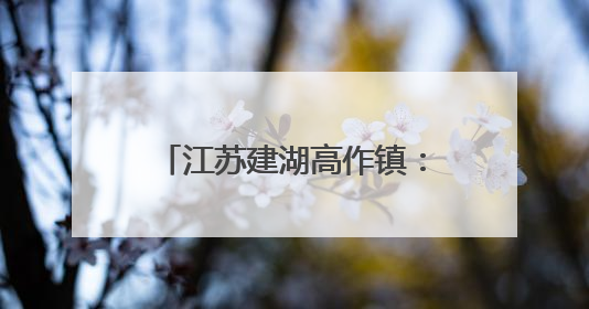 江苏建湖高作镇：“三夏”大忙 现代农业技术助力
