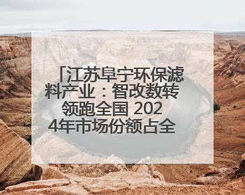 江苏阜宁环保滤料产业：智改数转领跑全国 2024年市场份额占全国三分之一