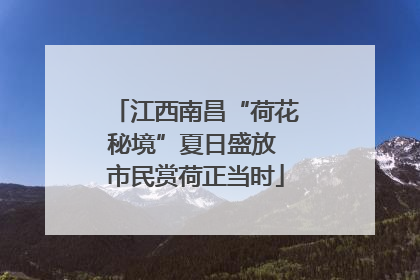 江西南昌“荷花秘境”夏日盛放 市民赏荷正当时