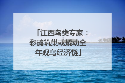 江西鸟类专家：彩鹮筑巢或撬动全年观鸟经济链