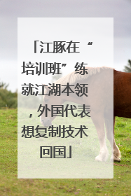 江豚在“培训班”练就江湖本领，外国代表想复制技术回国