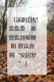汤阴县纪委监委：巡察监督破梗阻 群众喜圆“安居梦”