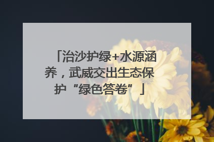 治沙护绿+水源涵养，武威交出生态保护“绿色答卷”