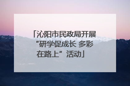 沁阳市民政局开展“研学促成长 多彩在路上”活动