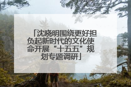 沈晓明围绕更好担负起新时代的文化使命开展“十五五”规划专题调研