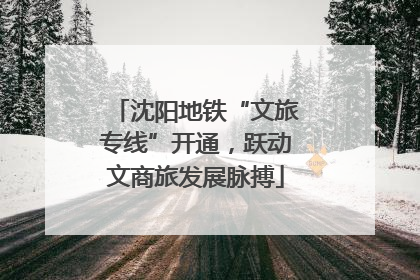 沈阳地铁“文旅专线”开通，跃动文商旅发展脉搏
