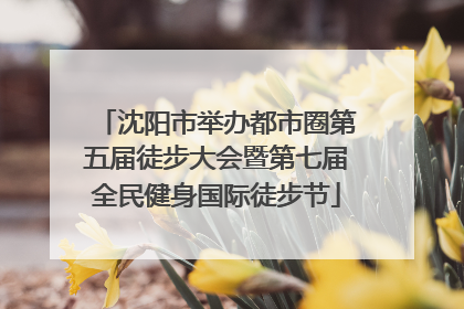 沈阳市举办都市圈第五届徒步大会暨第七届全民健身国际徒步节
