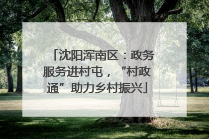 沈阳浑南区：政务服务进村屯，“村政通”助力乡村振兴