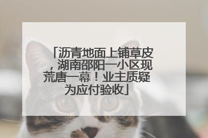 沥青地面上铺草皮，湖南邵阳一小区现荒唐一幕！业主质疑为应付验收
