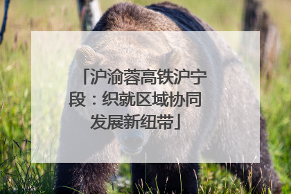 沪渝蓉高铁沪宁段：织就区域协同发展新纽带