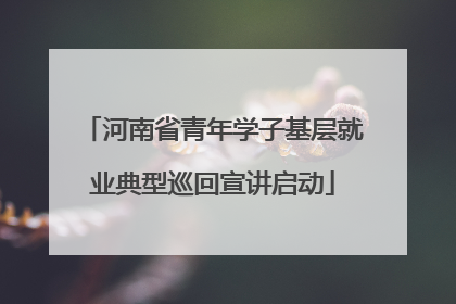 河南省青年学子基层就业典型巡回宣讲启动