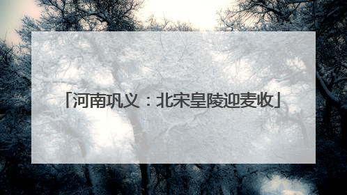 河南巩义：北宋皇陵迎麦收
