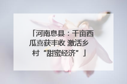 河南息县：千亩西瓜喜获丰收 激活乡村“甜蜜经济”