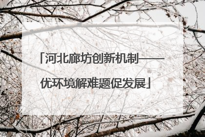河北廊坊创新机制——优环境解难题促发展