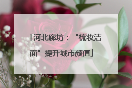 河北廊坊：“梳妆洁面”提升城市颜值