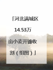 河北满城区14.53万亩小麦开镰收割（组图）