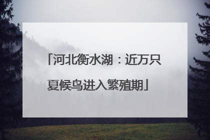 河北衡水湖：近万只夏候鸟进入繁殖期