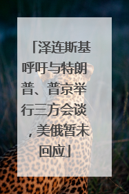 泽连斯基呼吁与特朗普、普京举行三方会谈，美俄暂未回应