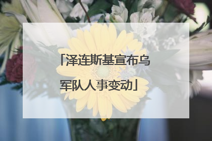 泽连斯基宣布乌军队人事变动
