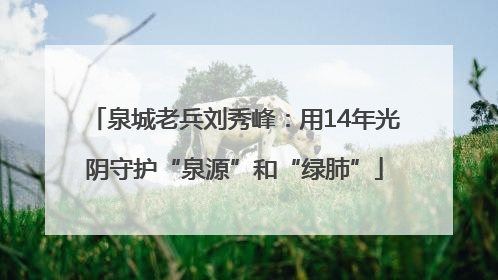 泉城老兵刘秀峰：用14年光阴守护“泉源”和“绿肺”