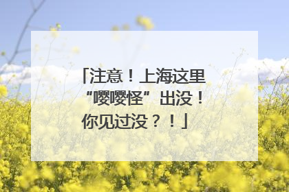 注意！上海这里“嘤嘤怪”出没！你见过没？！