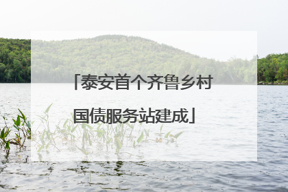 泰安首个齐鲁乡村国债服务站建成