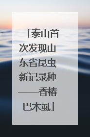 泰山首次发现山东省昆虫新记录种——香椿巴木虱