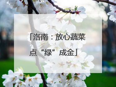 洛南：放心蔬菜点“绿”成金