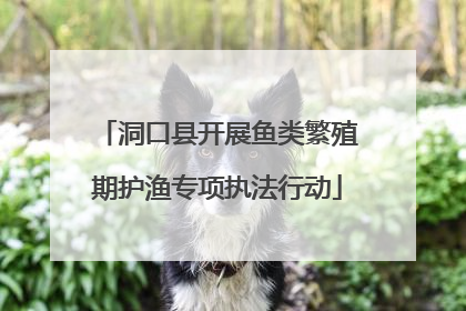 洞口县开展鱼类繁殖期护渔专项执法行动