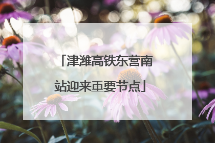 津潍高铁东营南站迎来重要节点