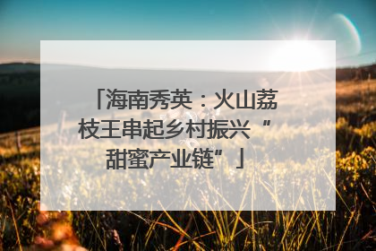 海南秀英：火山荔枝王串起乡村振兴“甜蜜产业链”