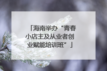 海南举办“青春小店主及从业者创业赋能培训班”