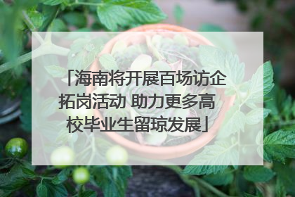 海南将开展百场访企拓岗活动 助力更多高校毕业生留琼发展
