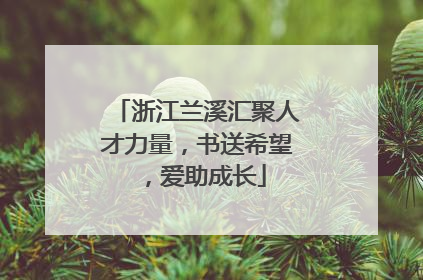 浙江兰溪汇聚人才力量，书送希望，爱助成长