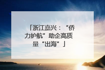 浙江嘉兴：“侨力护航”助企高质量“出海”