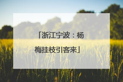 浙江宁波：杨梅挂枝引客来