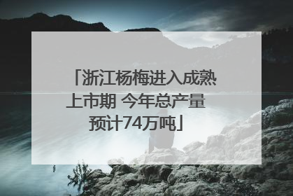 浙江杨梅进入成熟上市期 今年总产量预计74万吨