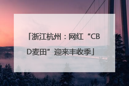 浙江杭州：网红“CBD麦田”迎来丰收季