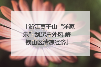 浙江莫干山“洋家乐”刮起户外风 解锁山区清凉经济