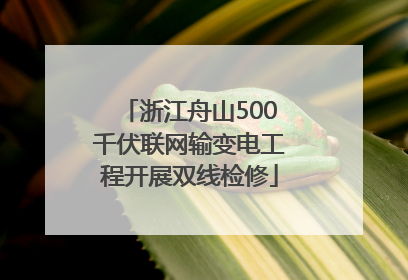 浙江舟山500千伏联网输变电工程开展双线检修