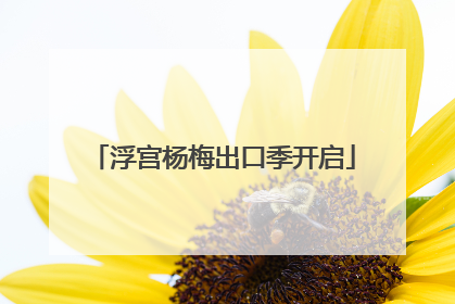浮宫杨梅出口季开启