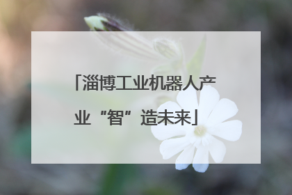 淄博工业机器人产业“智”造未来
