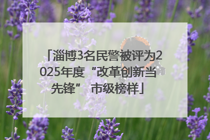 淄博3名民警被评为2025年度“改革创新当先锋” 市级榜样
