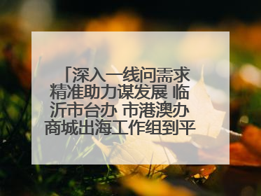 深入一线问需求 精准助力谋发展 临沂市台办 市港澳办商城出海工作组到平邑县走访调研