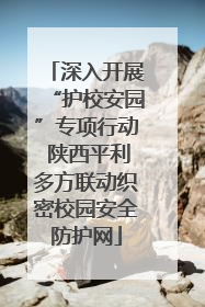 深入开展“护校安园”专项行动 陕西平利多方联动织密校园安全防护网