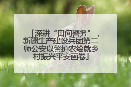 深耕“田间警务”，新疆生产建设兵团第二师公安以警护农绘就乡村振兴平安画卷