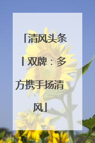 清风头条丨双牌：多方携手扬清风